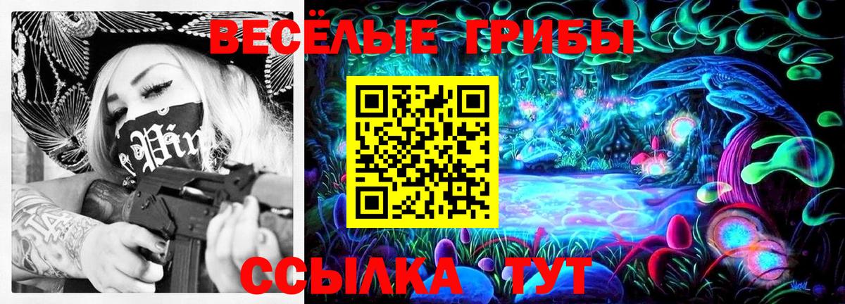 Галлюциногенные грибы Psilocybine cubensis Десногорск