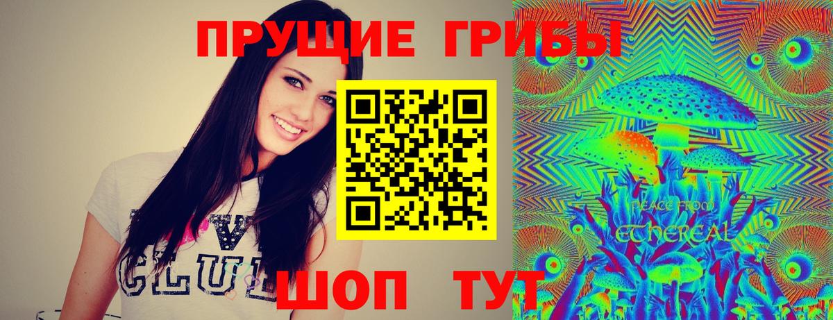 Галлюциногенные грибы Psilocybe  Вход с VPN  Десногорск 